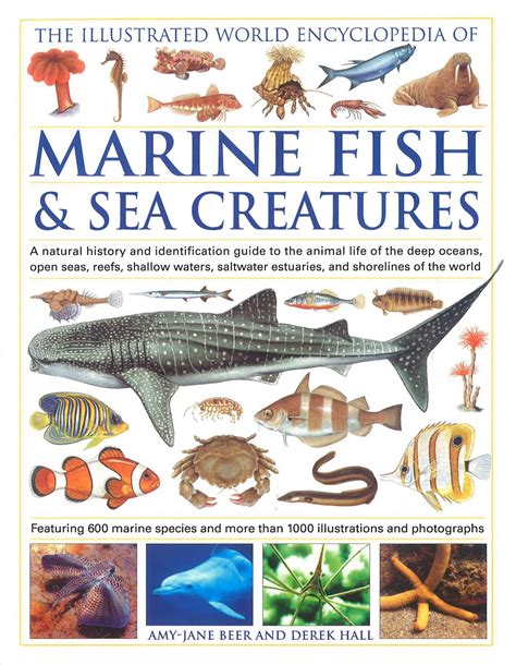 The Illustrated World Encyclopedia Of Marine Fish And Sea Creatures