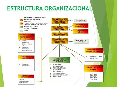 Estructura Organizacional Que Es Definicion Y Concepto Images