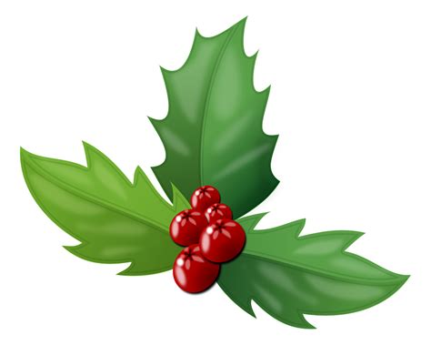Hollyberriesleavesplantsvegetable Free Image From