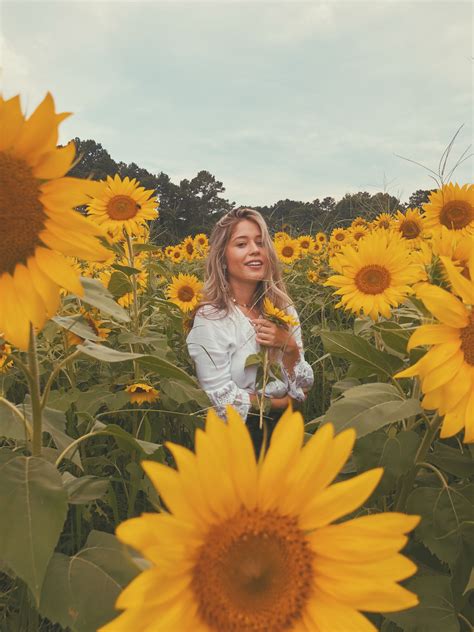 Sunflower Field | Sunflower photography, Sunflower field pictures, Sunflower field photography