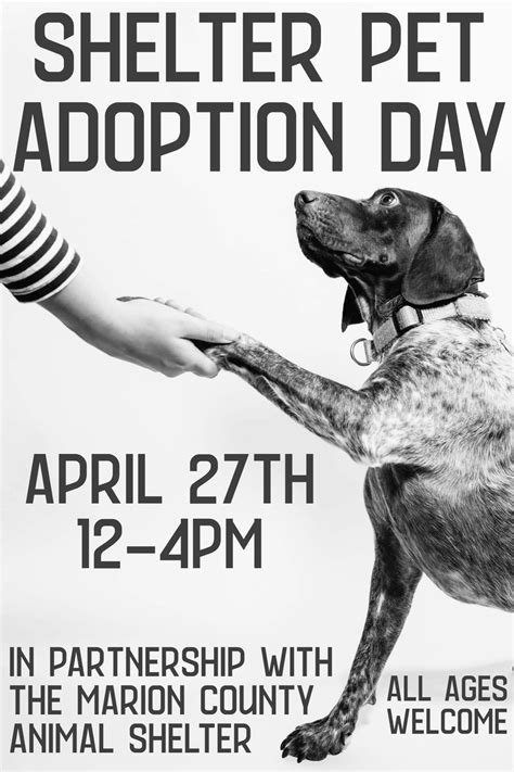 Shelter Pet Adoption Day at Graham Memorial Park - Visit Lebanon