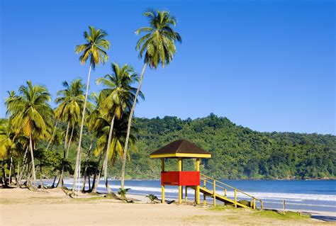 moving to trinidad and tobago guide