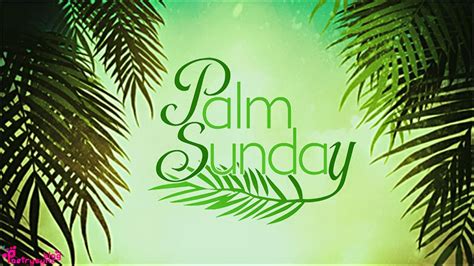 38 Best Palm Sunday Images Wishes Greetings And Photos