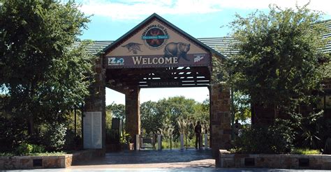 Explore the Amazing World of Animals at the Zoo