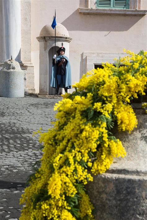 Festa della donna 8 marzo 2017 discoteca bussola versilia 50 sfumature di rosso. "Festa della Donna": la storia dell'8 marzo e quella ...