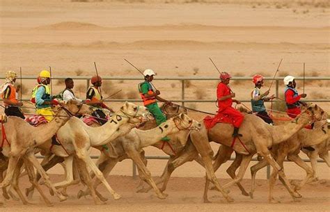 In february, there is an expatriate day celebrated in the janadarya festival when they take you to camel race tours as well. Be A Smart Traveller: THE AL JENADRIYAH FESTIVAL IN SAUDI ...
