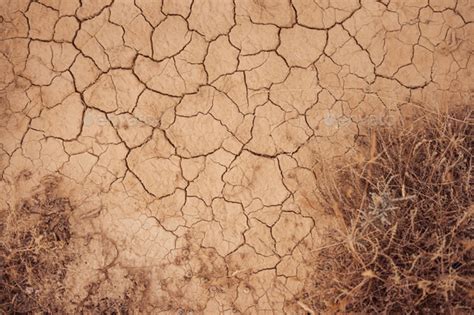 Cracked Dirt Texture With Dry Vegetation Stock Photo By Rubenchase