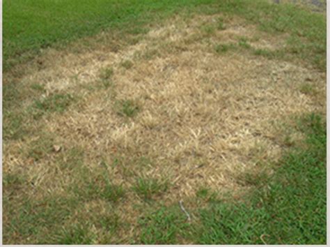 Help Lawns Recover From Winter Ryan® Turf Renovation Equipment