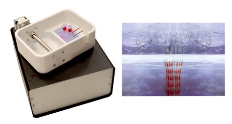 Printalive 3d Bioprinter Creates Living Bandage Skin Grafts To Treat