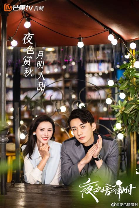 Love At Night Chinese Drama C Drama Love Show Summary