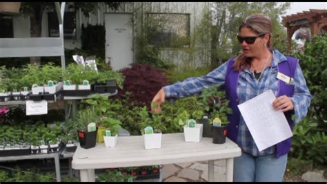 Companion Planting Tips From Glover Nursery Youtube