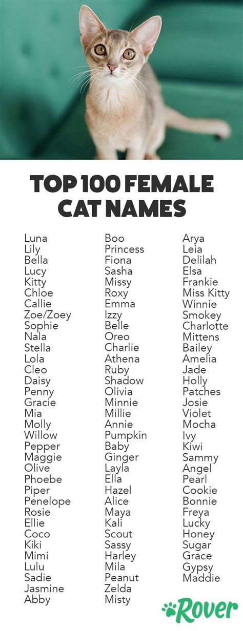 Top 10 Female Kitten Names For 2023