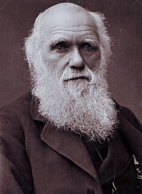 Charles darwin was a british naturalist who developed a theory of evolution based on natural selection. We must secure Charles Darwin's legacy - Shrewsbury's ...