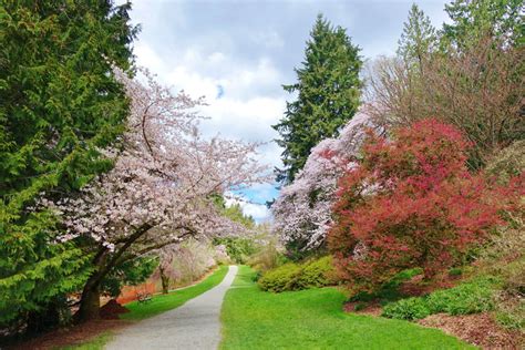 Washington Park Arboretum Uw Botanic Gardens • Seattle • That Sounds
