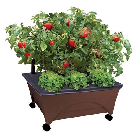 Divided raised garden bed on wheels. CITY PICKERS 24.5 in. x 20.5 in. Patio Raised Garden Bed ...