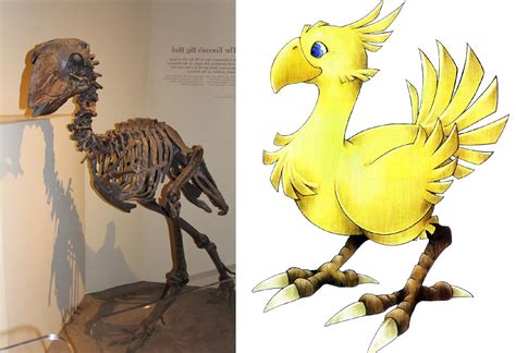 Chocobos Were Real Rfinalfantasy