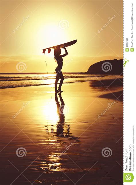 Silhouette De Surfer Se Tenant Avec Le Panneau De Ressac Sur La Plage