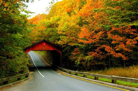 The Best Fall Color Drives In Michigan