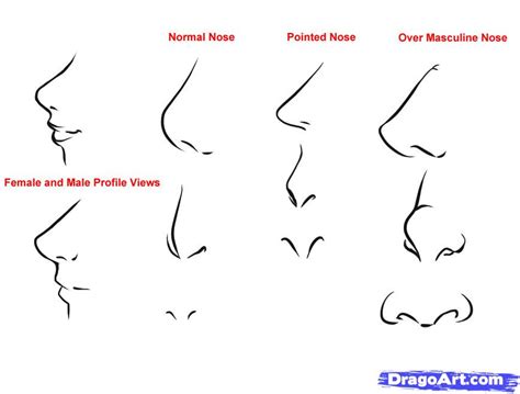 How To Draw Anime Noses Step By Step Anime People Anime Draw