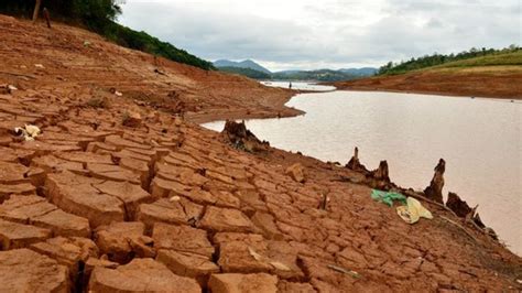 Brazil Drought Sao Paulo Sleepwalking Into Water Crisis Bbc News