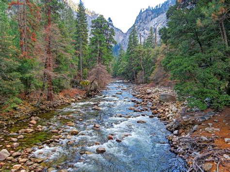 Photo Merced River Yosemite National Park River Free Pictures On Fonwall