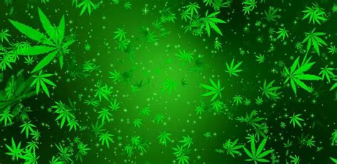 46 Live Weed Wallpapers That Move Wallpapersafari