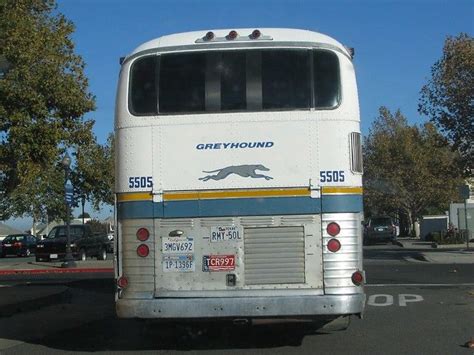 1955 Gm Greyhound Scenicruiser Bus 5505 6 Jack Snell Flickr Bus