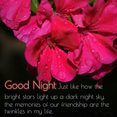 Good Night Images With Friendship Quotes