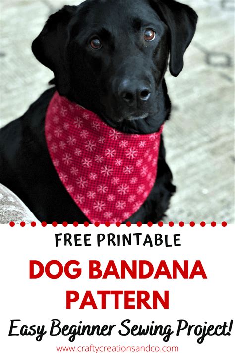 Free Printable Dog Bandana Pattern Easy Sewing Tutorial Dog Clothes