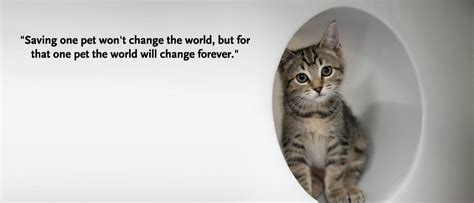 Quotes About Animal Shelter 32 Quotes