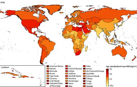 Study: Worldwide Obesity Rates Outpace Underweight Rates
