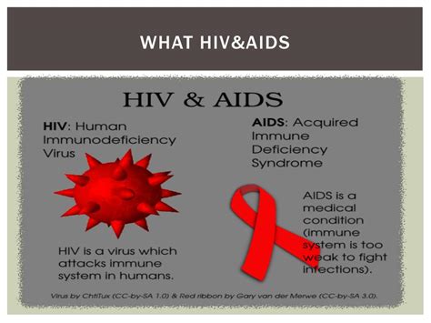 21 What Is Hiv Aids Trend Masa Kini