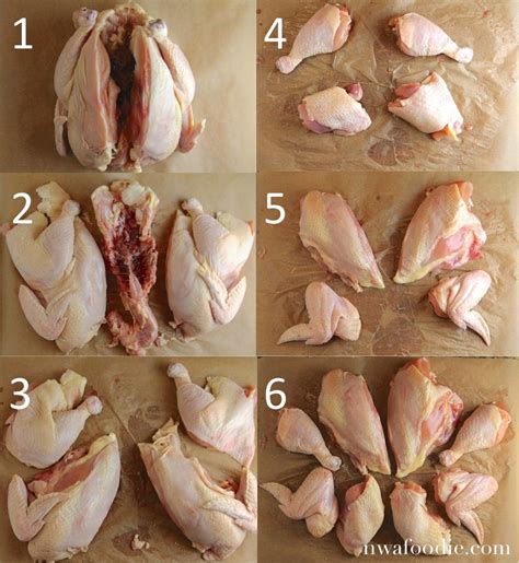 Not only do they provide their owners with fresh delicious. Pin on chicken recipes