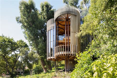 Gallery Of Paarman Tree House Malan Vorster Architecture Interior