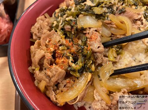 すき家で「高菜明太マヨ牛丼・メガ盛り」を注文してみた 進撃のグルメ yahoo japan クリエイターズプログラム