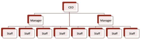 Flat Organizational Chart Examples
