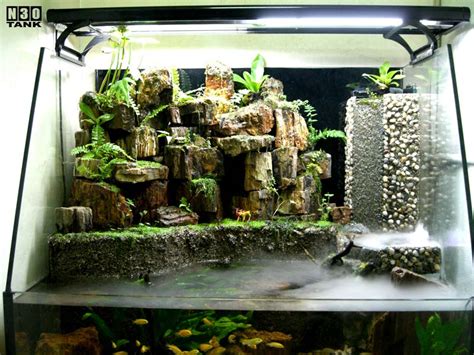 Aquarium Scaping Singapore Aquascaping Service For Home And Office