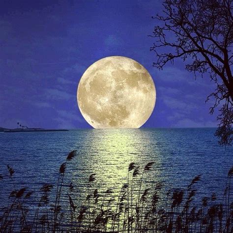 Full Moon Rising Moon Pictures Moon Photography Beautiful Moon