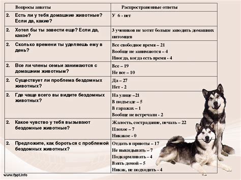 Особенности охоты с лайкой: как правильно выбрать щенка, дрессировка