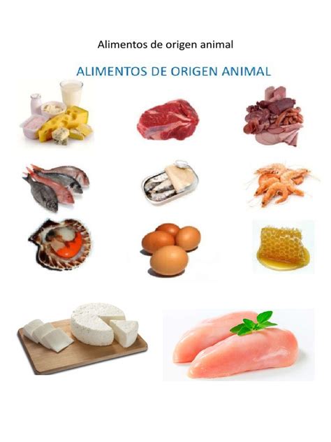 Alimentos De Origen Animal Pdf Enfermedades Transmitidas Por