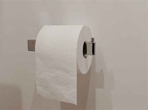 The Correct Way To Hang The Toilet Paper Roll According To The