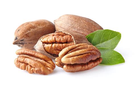 How Many Different Types Of Pecans Are There