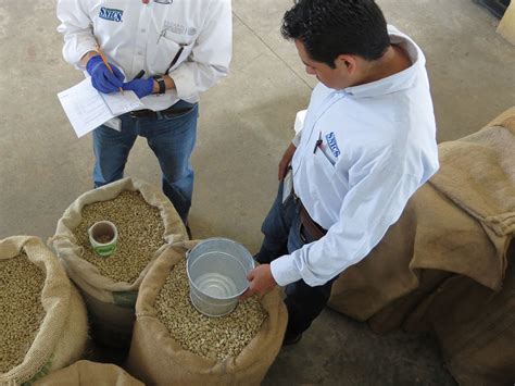 certificación de semilla de café huatusco veracruz servicio nacional de inspección y