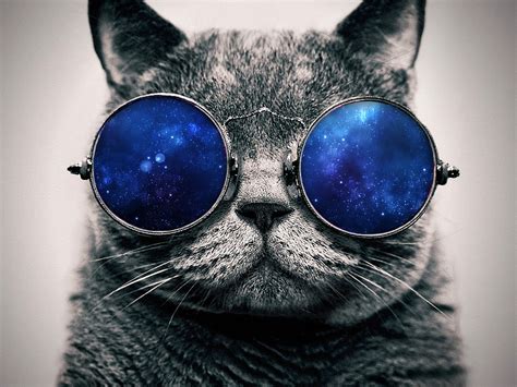Cat With Galaxy Glasses Cosmic Cat Desktop By Benjgonzales On Deviantart Hipster Cat