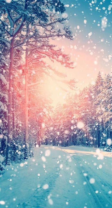 Winter Background Wallpaper Nawpic
