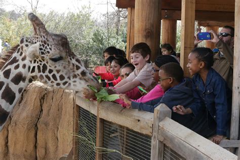Encounters And Experiences Dallas Zoo