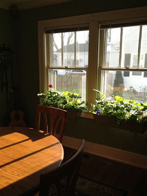Indoor Window Boxes For Year Round Blooming