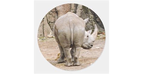 Rhino Butt Classic Round Sticker Zazzle
