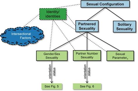 Gendersex And Sexual Diversity Via Sexual Configurations Theory Insights From A Qualitative