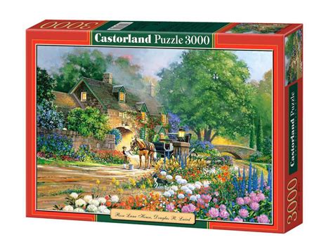 Castorland Puzzle 3000 Pièces Rose Lane House